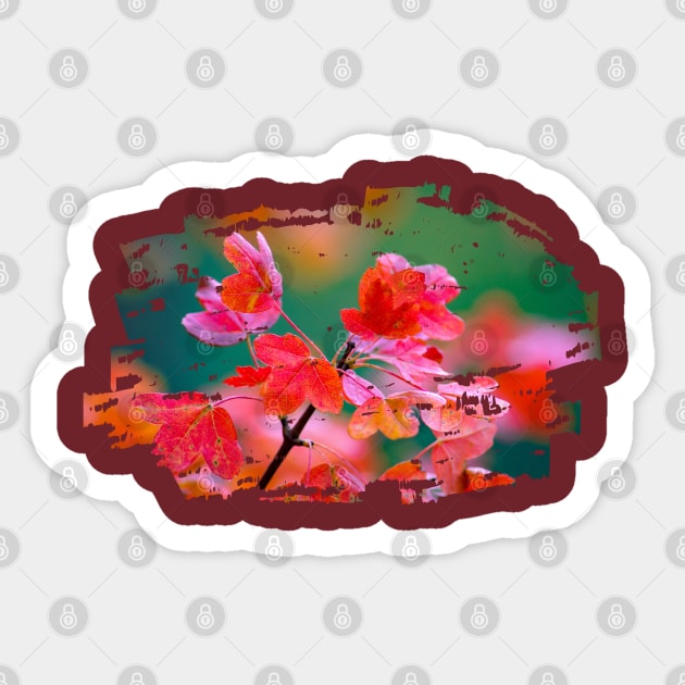 Autumn Pink Flowers Sticker by MINOUCHSTORE